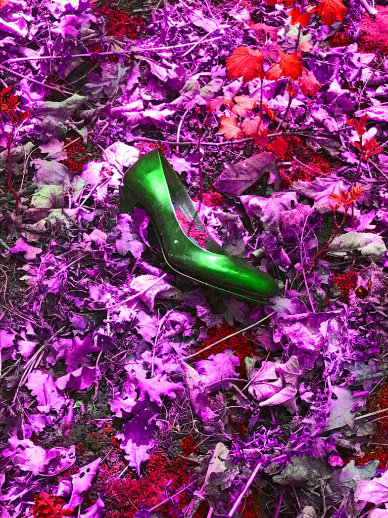 Life Isn't Always A Bed Of Roses David Gwinnutt